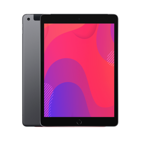 Apple iPad 10.2" 7th Gen (Wi-Fi Only) 32GB Space Grey