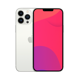 Apple iPhone 13 Pro 256GB Silver